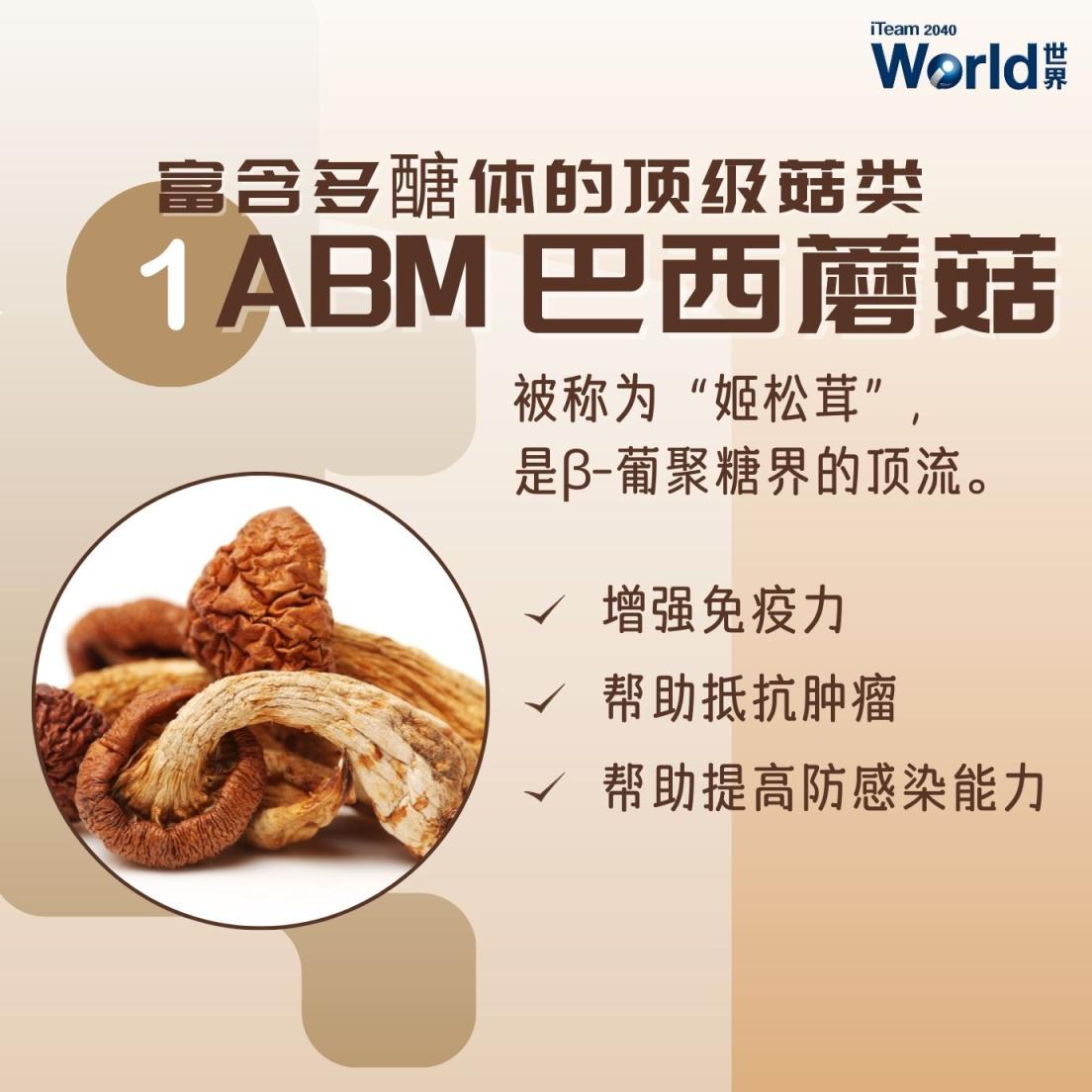 Top Mushroom Rich in Polysaccharides