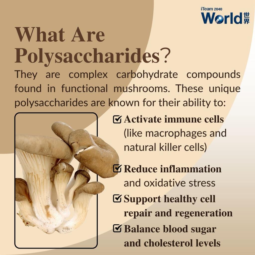 What are Poliysaccharides