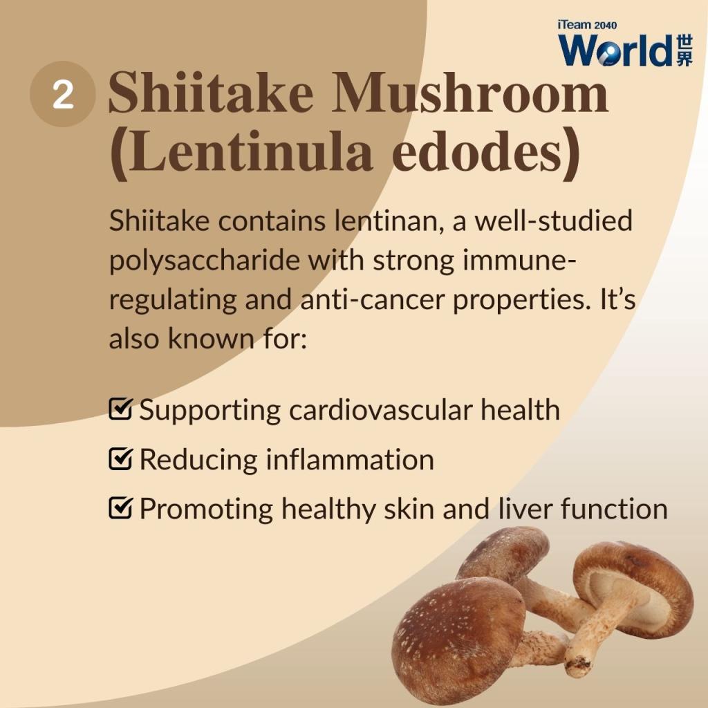 Top Mushroom Rich in Polysaccharides