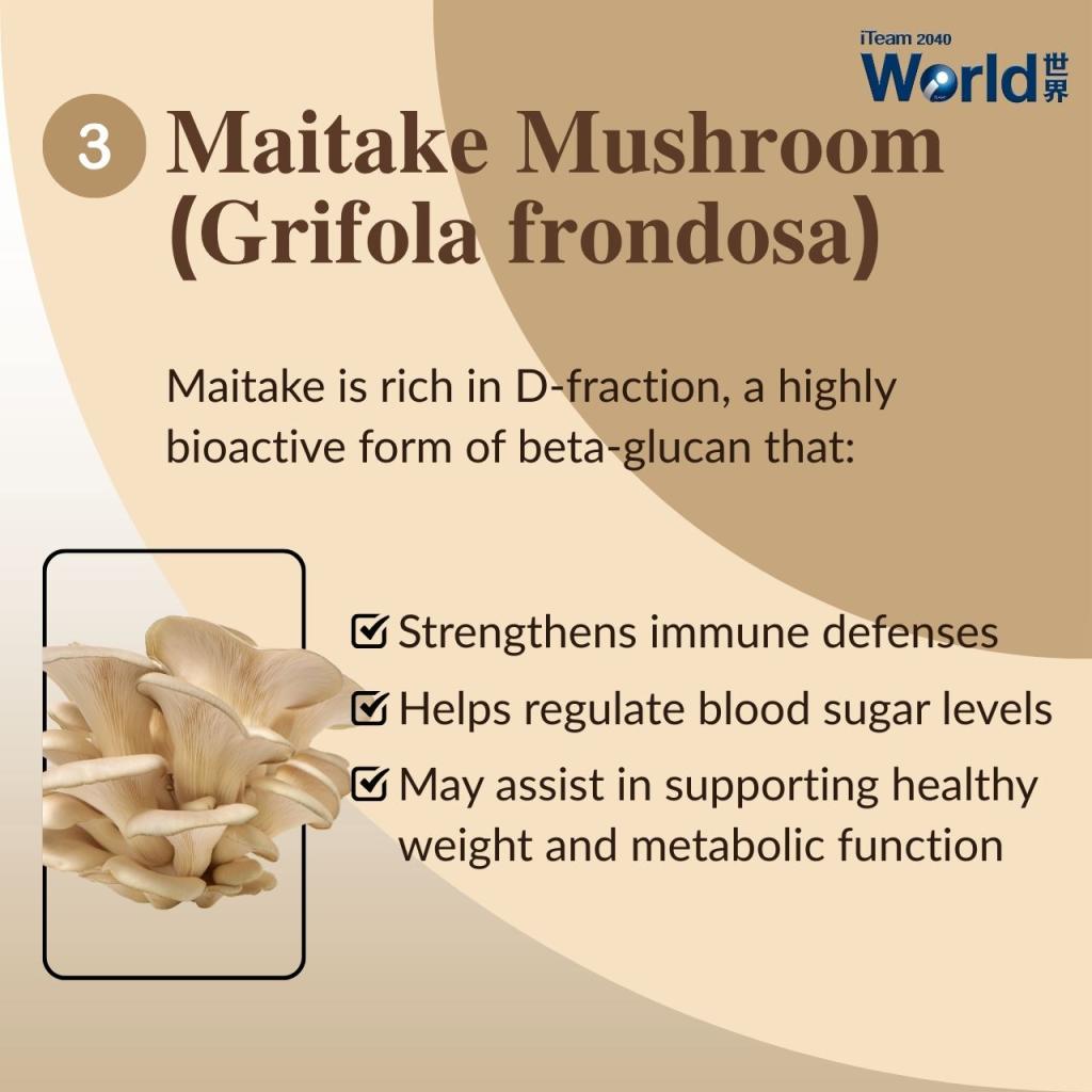 Top Mushroom Rich in Polysaccharides