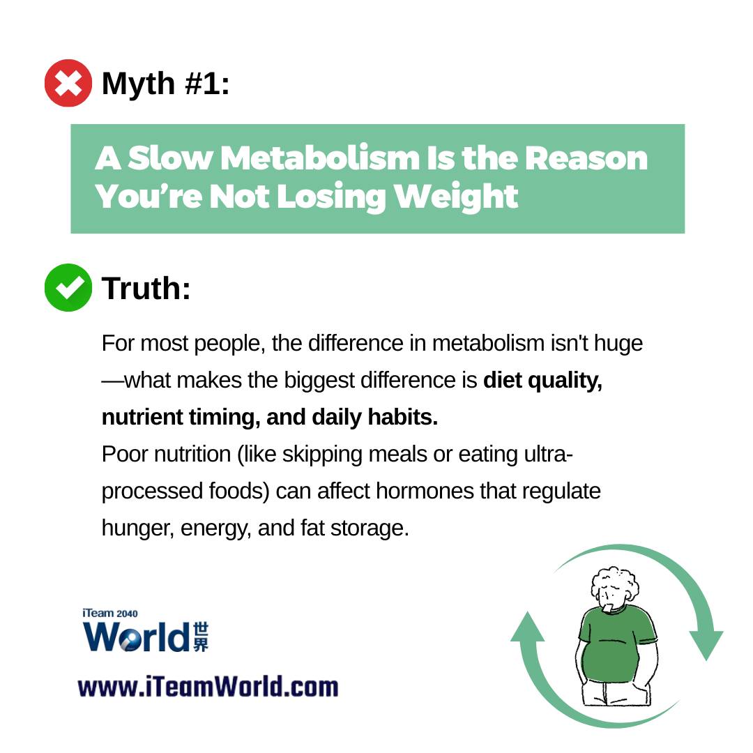 Metabolism Myth