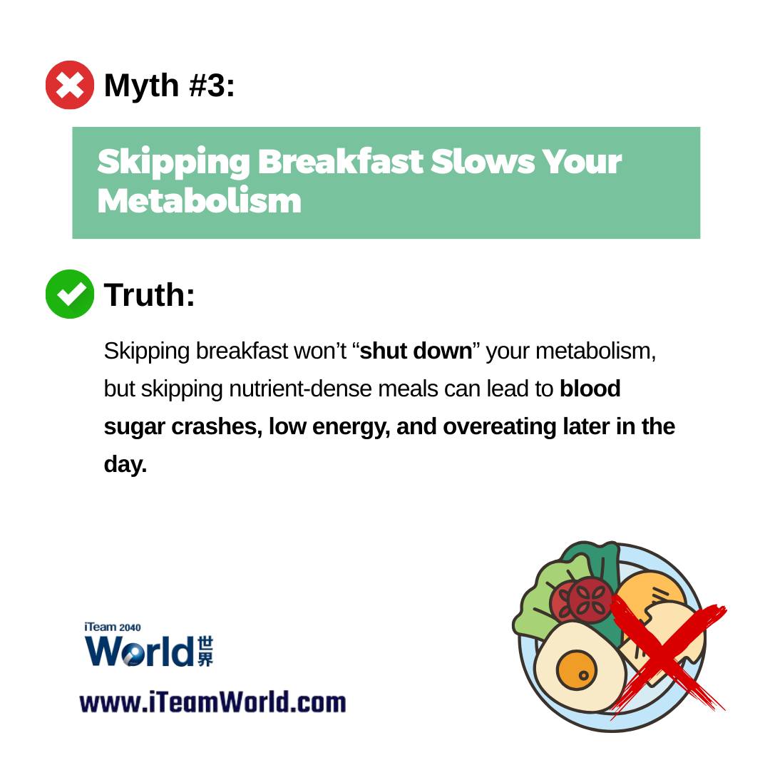 Metabolism Myth