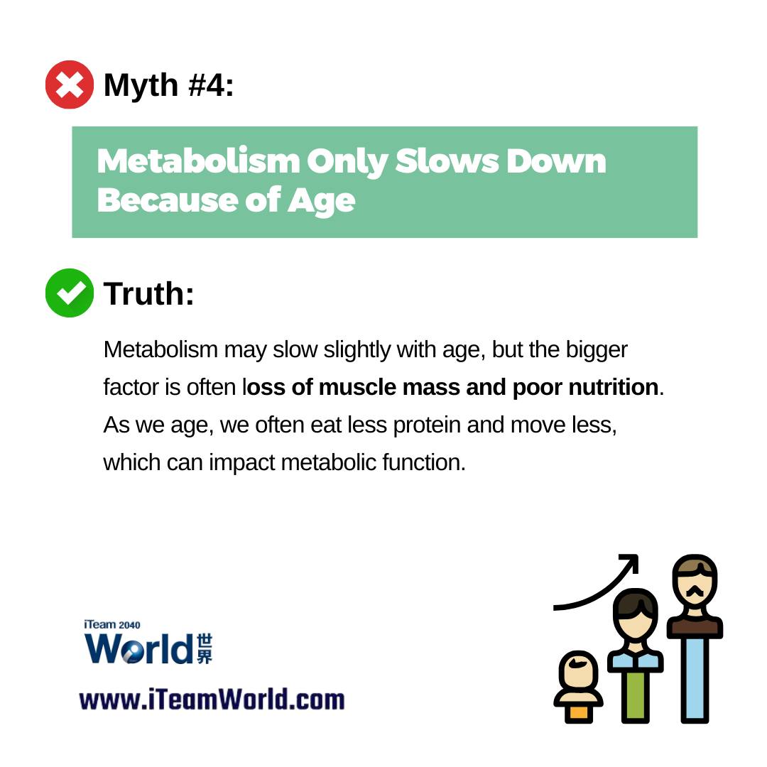 Metabolism Myth