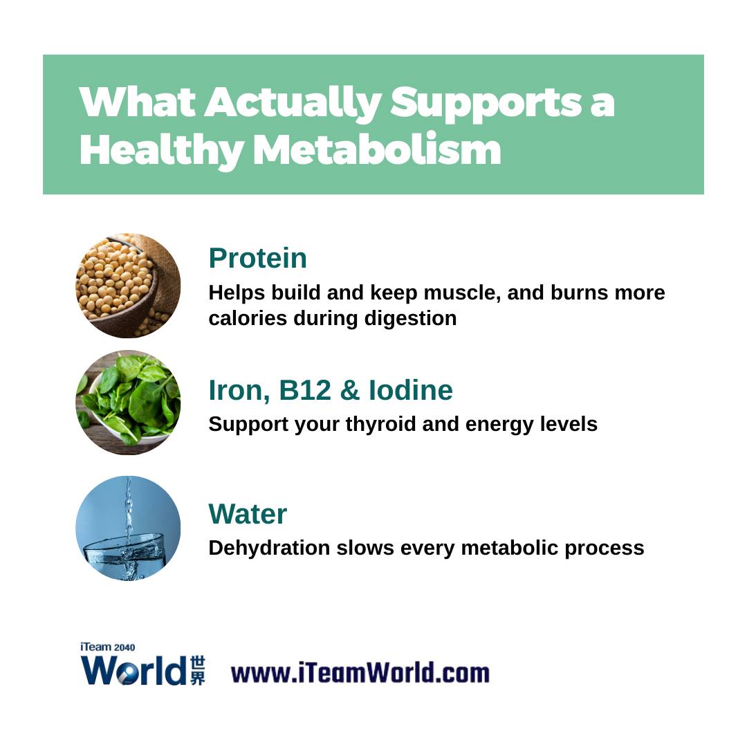 Metabolism Myth