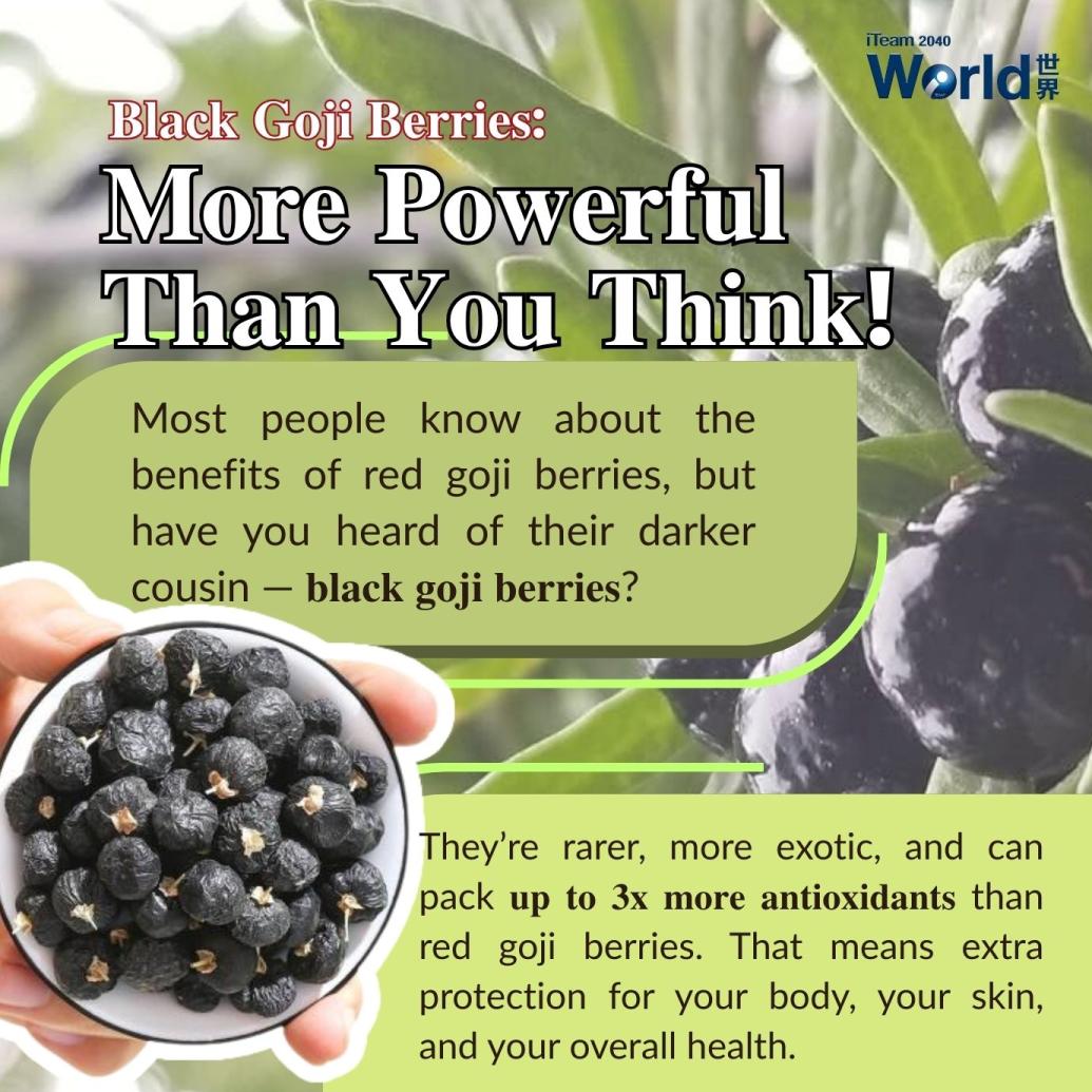 Black Goji Berries: More powerful than you think