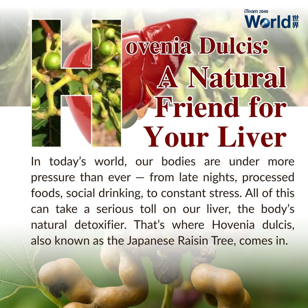 A Natural Friend for your liver