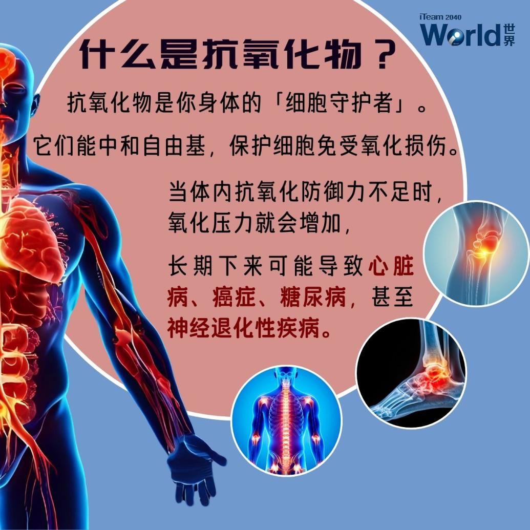 Berries: The Antioxidant World you Should be Eating