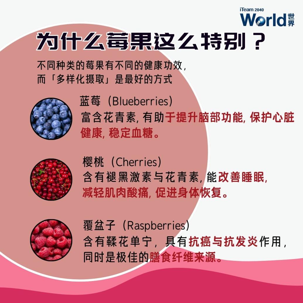 Berries: The Antioxidant World you Should be Eating