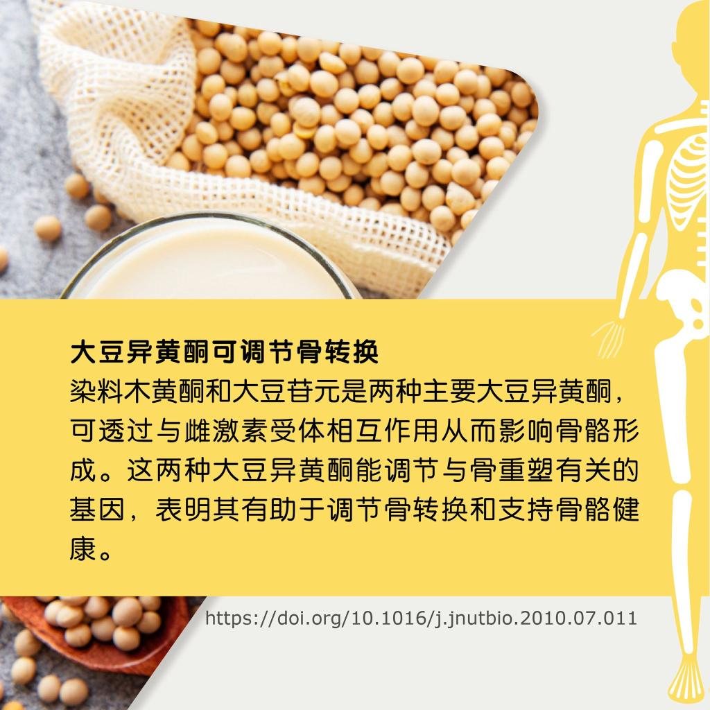 Soy isoflavones regulate bone furnover