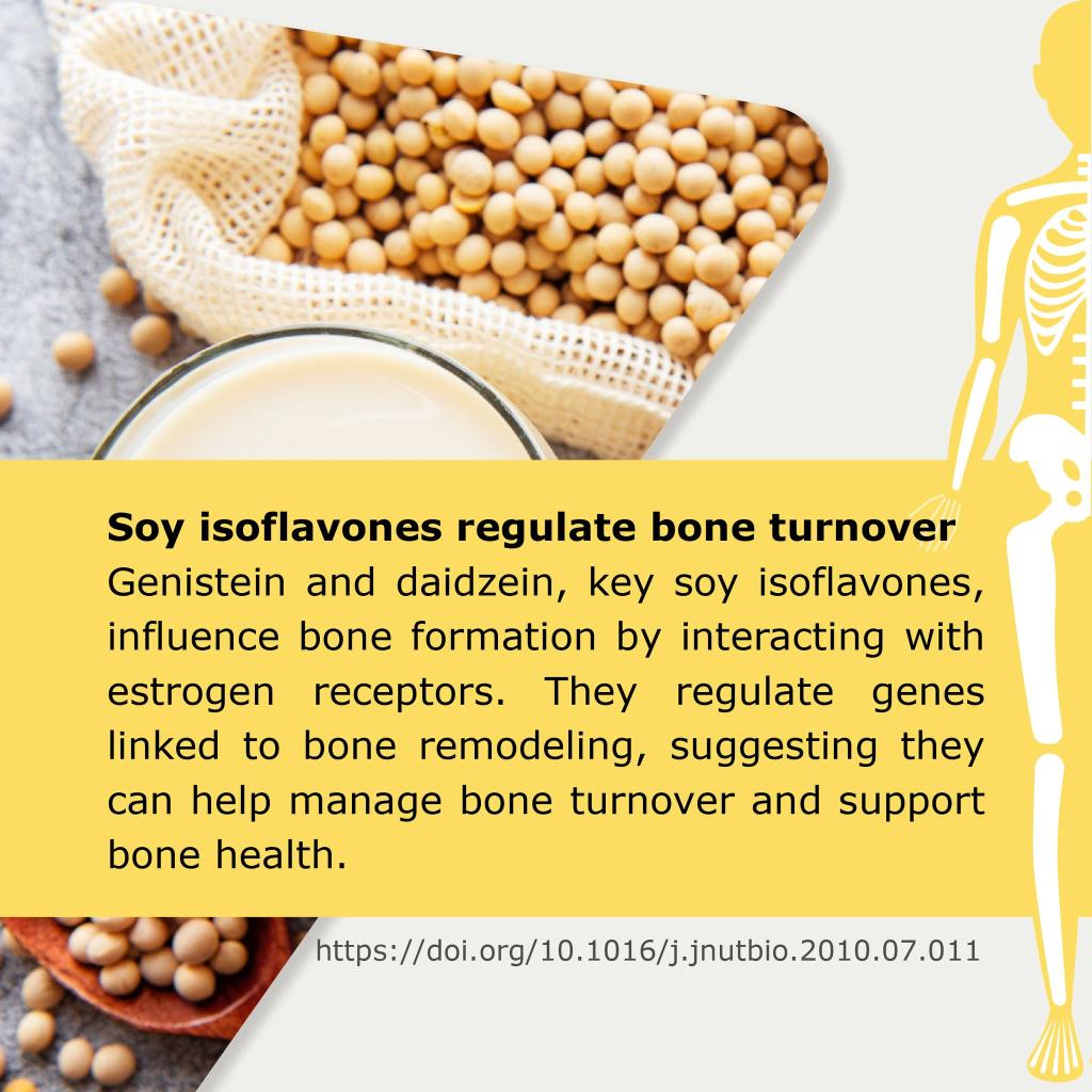 Soy isoflavones regulate bone furnover