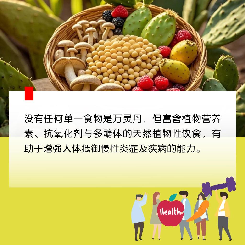Wholesome and Plant foods