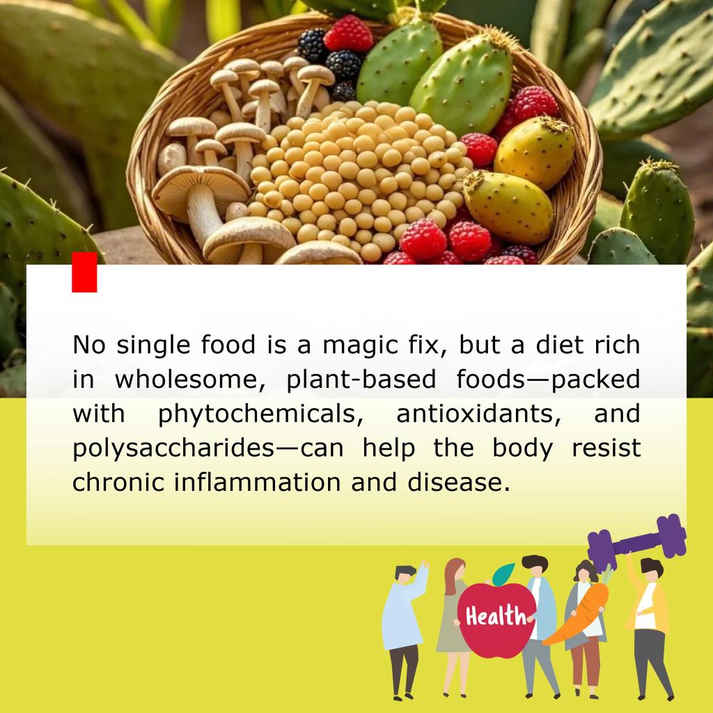 Wholesome and Plant foods