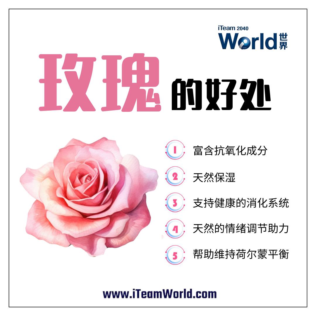 Health & Beauty Benefits of Rose