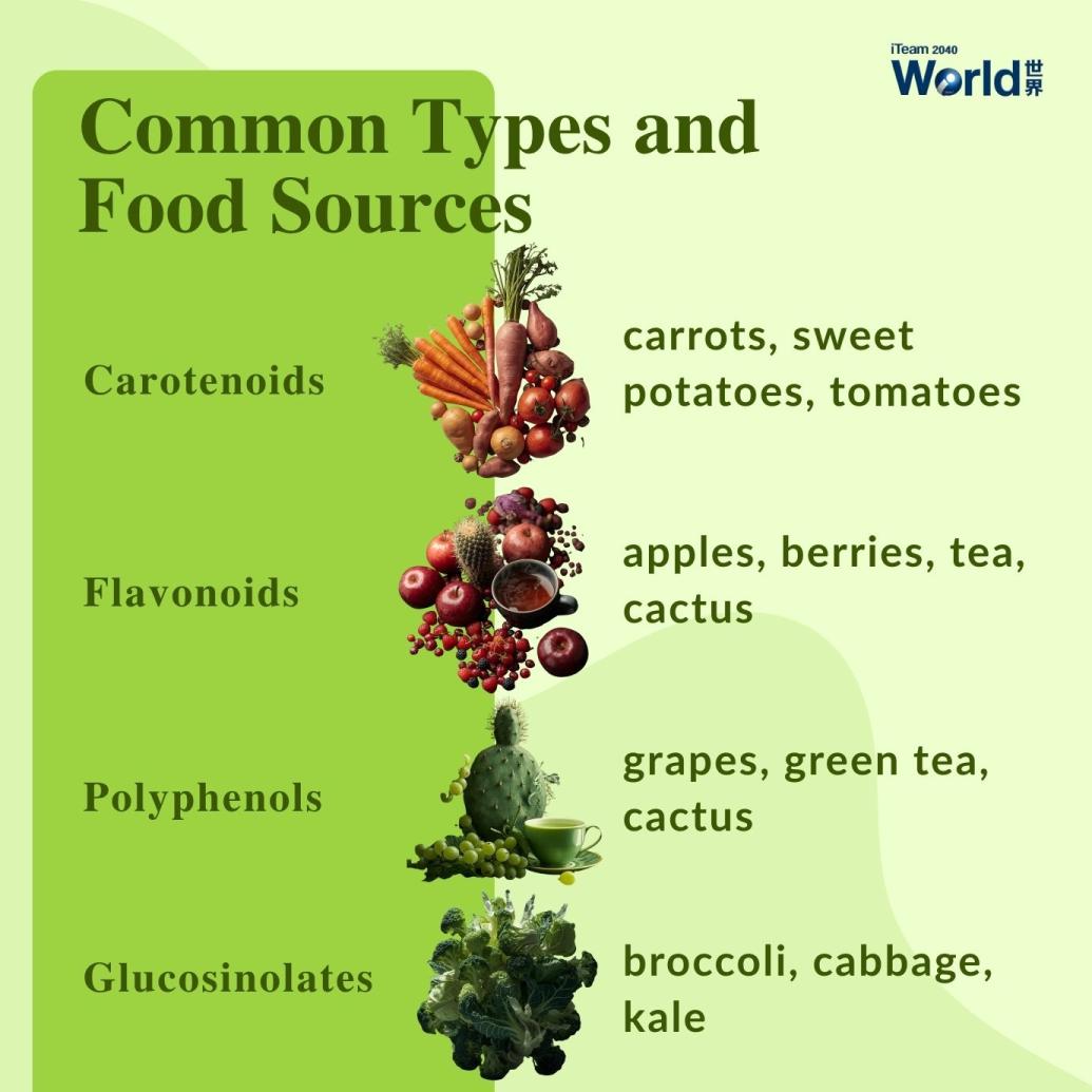 Common types and food sources