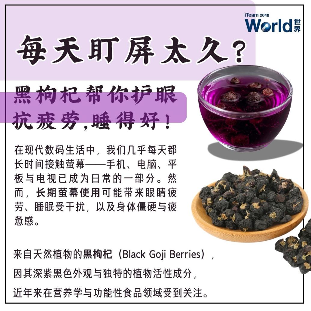 Goji Garden 枸杞花园