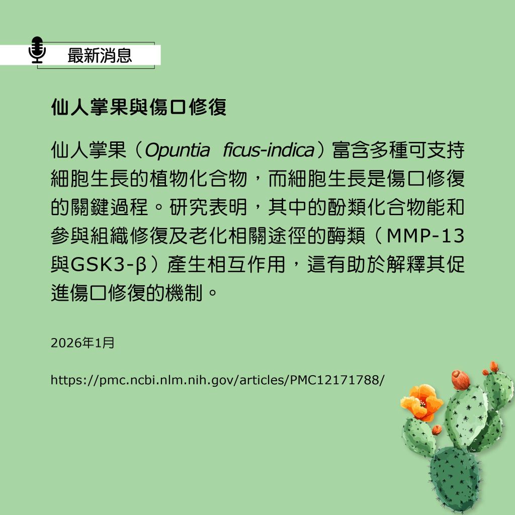 Rhapsody 协奏曲 cactus