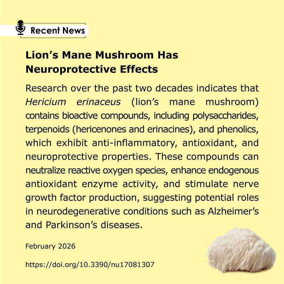Lion's Mane Mushroom