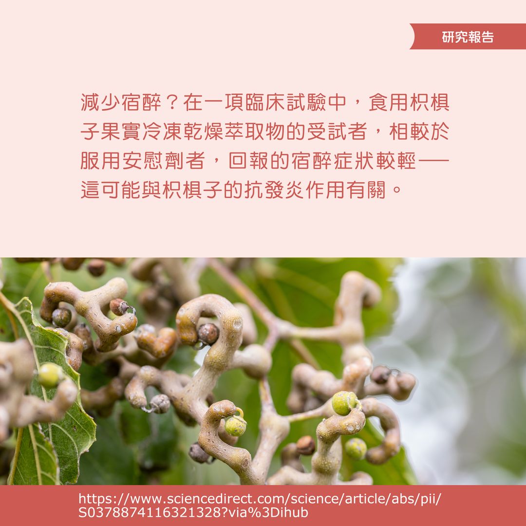 RaisinTree 藤密 Hovenia