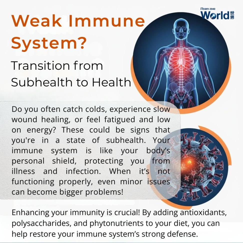Immune System