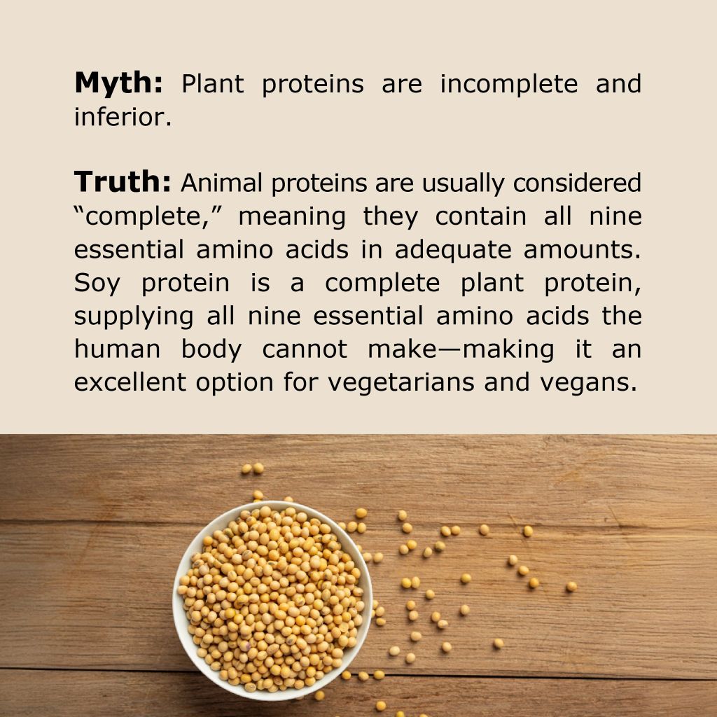 Soy bean