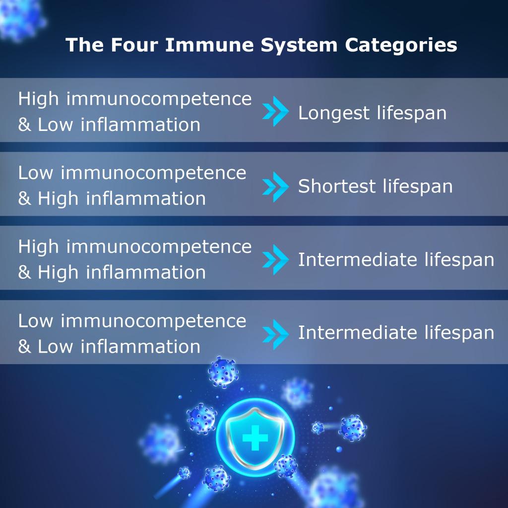 immune system