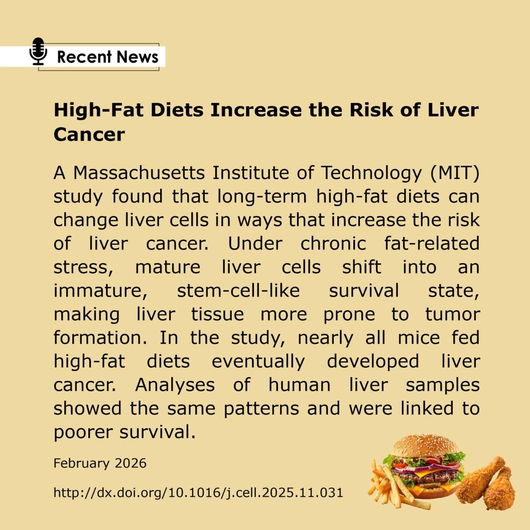 Liver Cancer