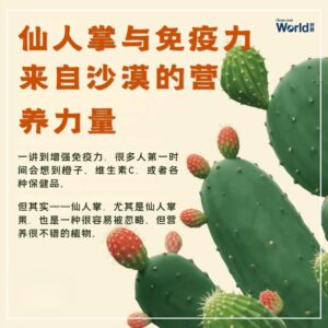 Cactus