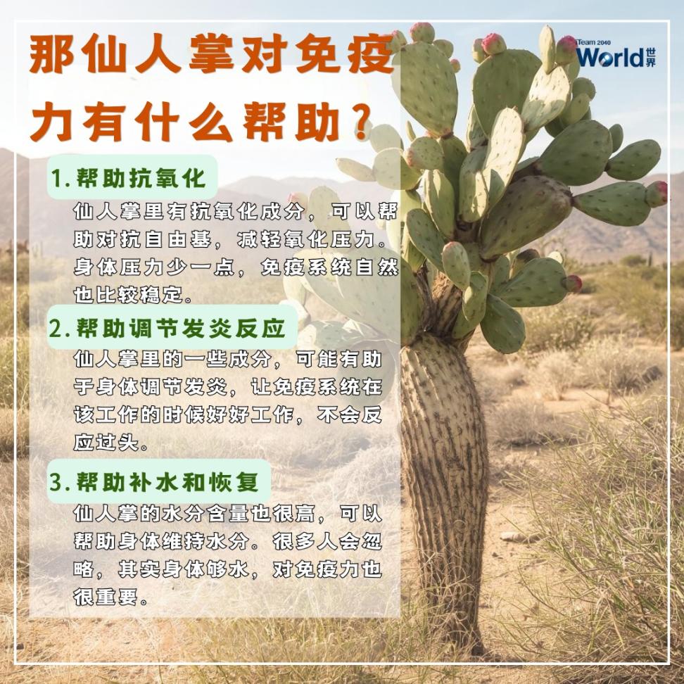 Cactus