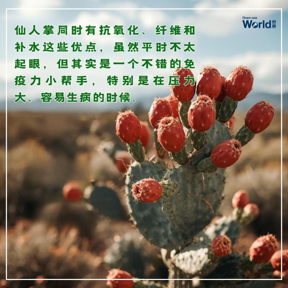 Cactus