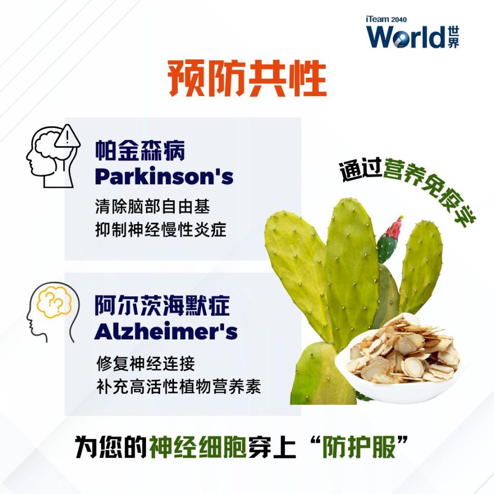 Parkinson's Alzheimer's