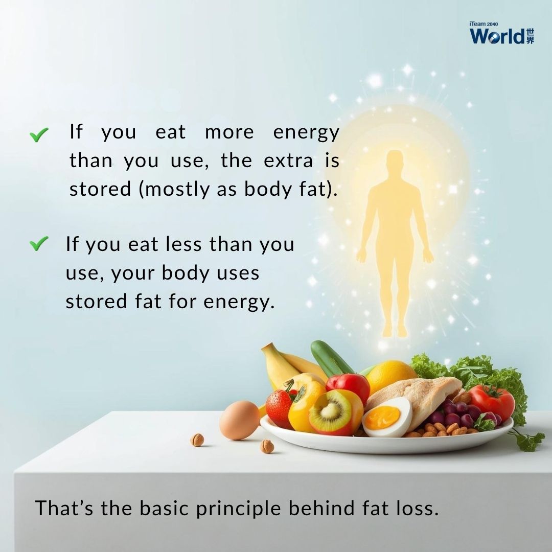 fat loss