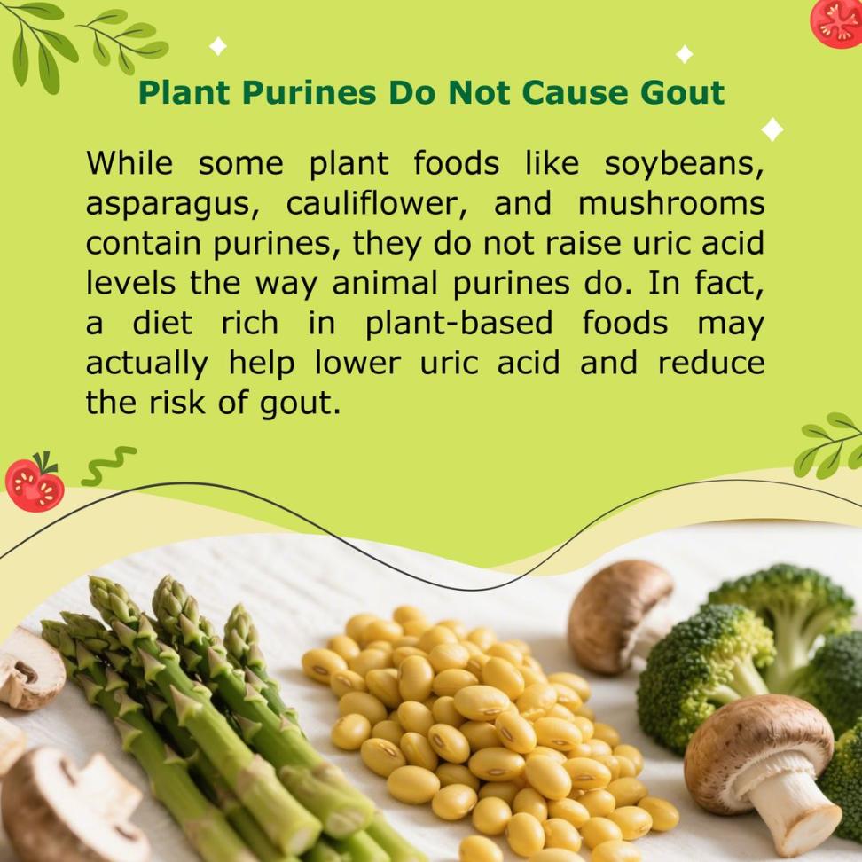 plant purines, gout