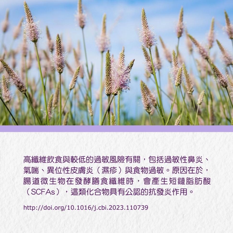 Fibertalk 纤语 - Psyllium Husk
