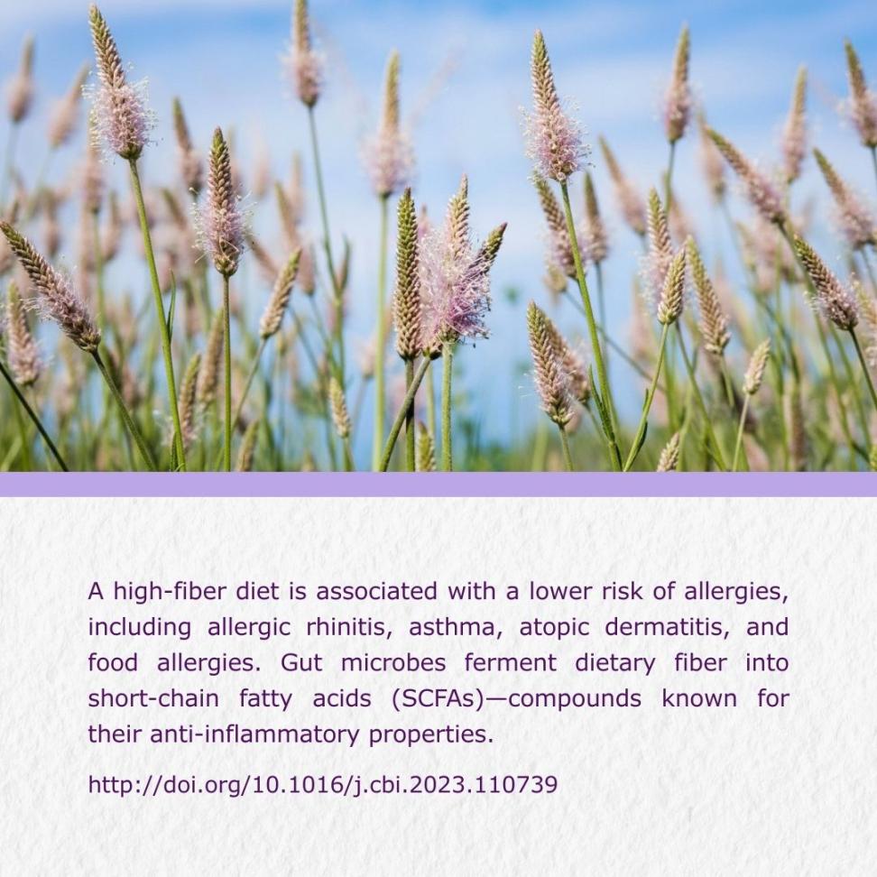 Fibertalk 纤语 - Psyllium Husk