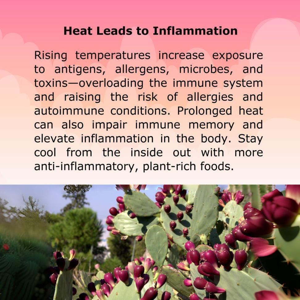 Heat Leads to Inflammation
