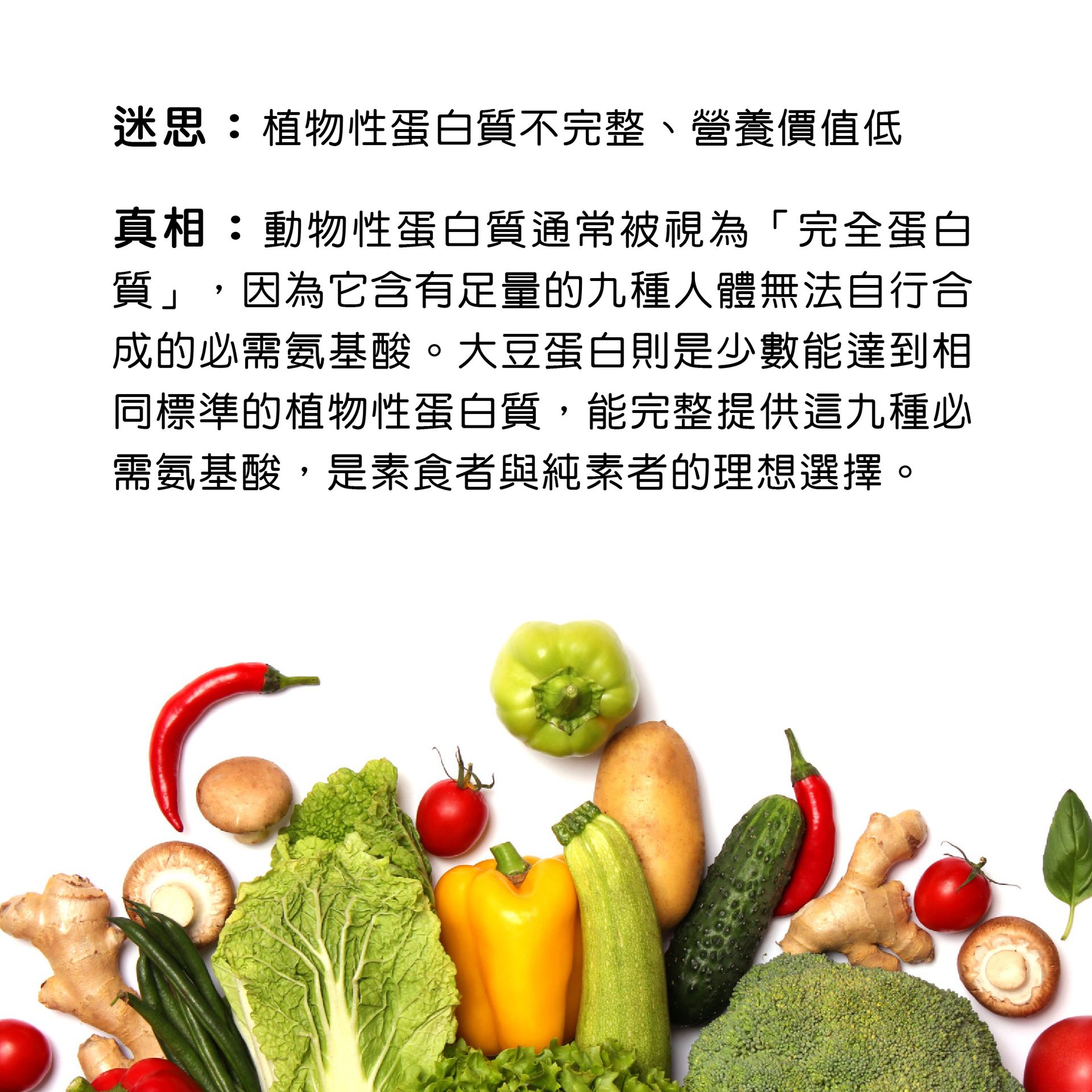 Plant proteins