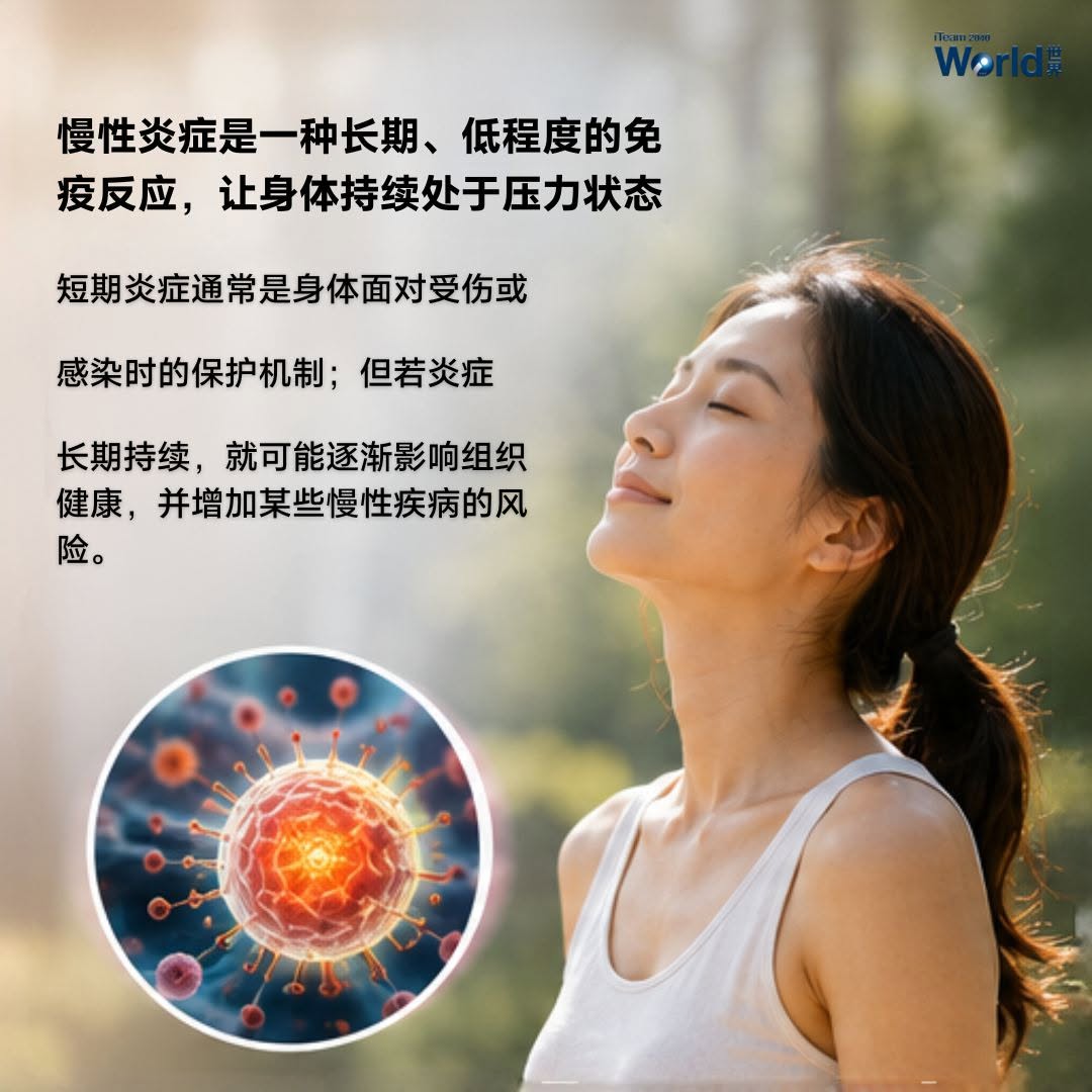 Chronic Inflammation & Diet